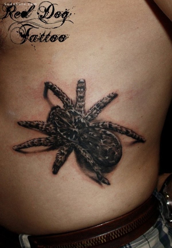 Spider Tattoo006