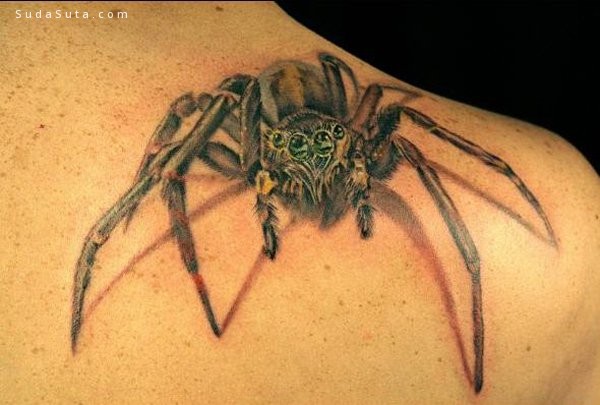 Spider Tattoo007