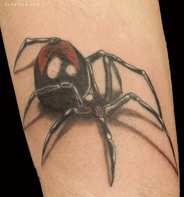 Spider Tattoo009