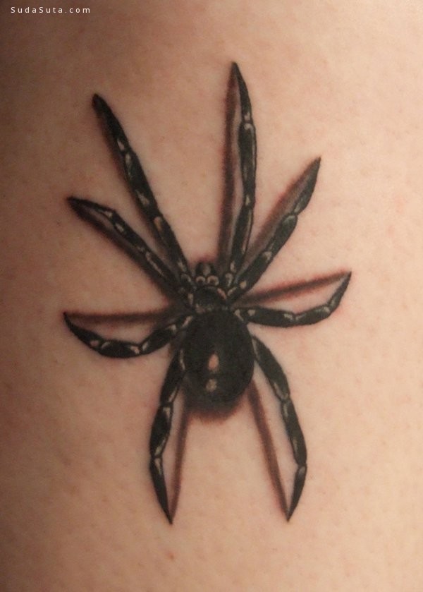 Spider Tattoo010