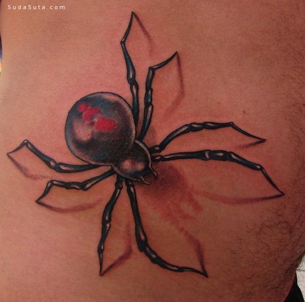 Spider Tattoo014