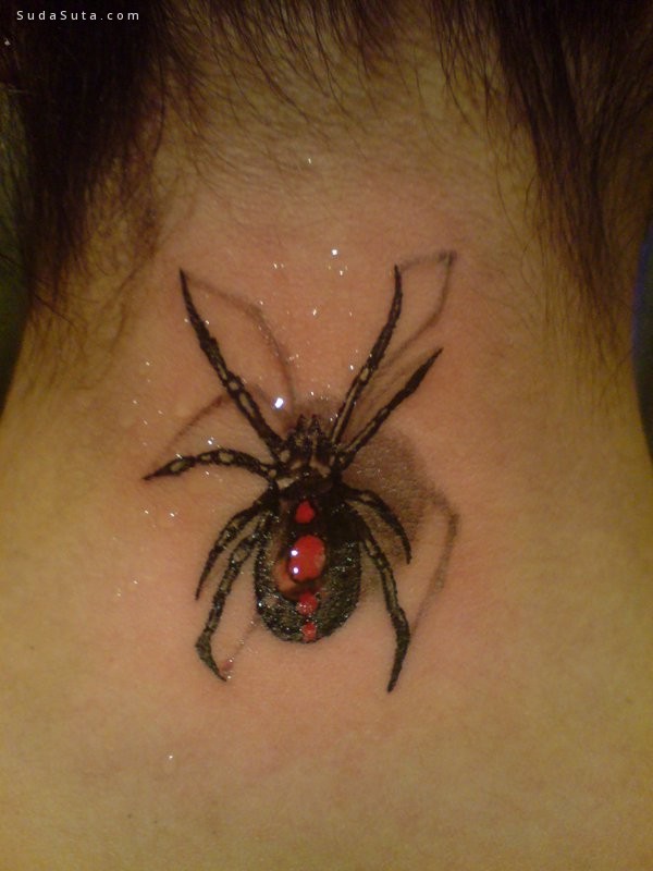 Spider Tattoo015