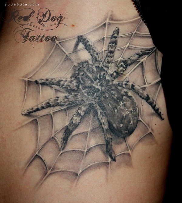 Spider Tattoo017