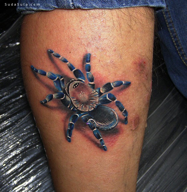 Spider Tattoo023