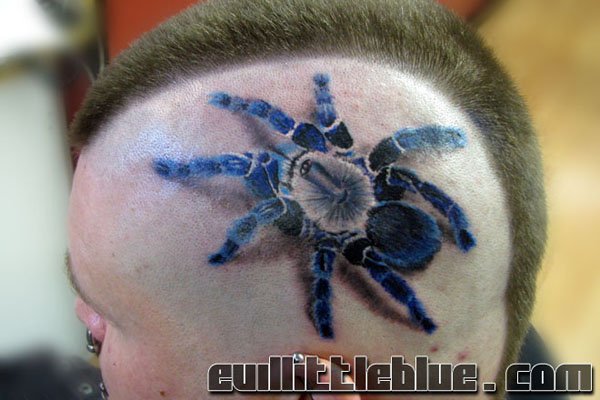Spider Tattoo026