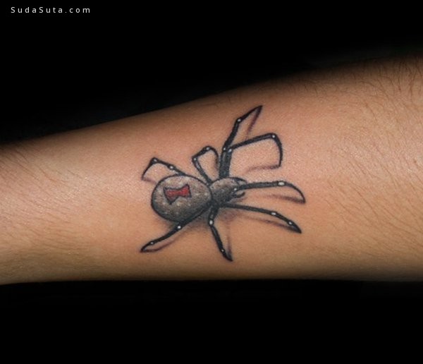 Spider Tattoo029
