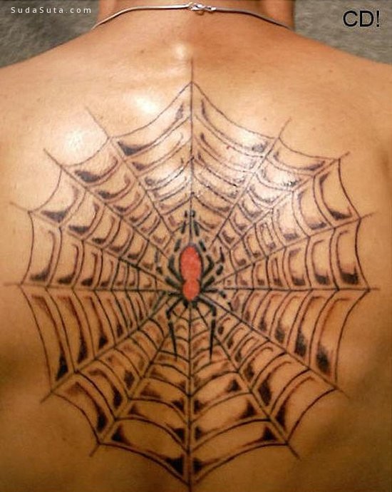 Spider Tattoo030