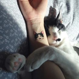 猫咪主题纹身设计欣赏