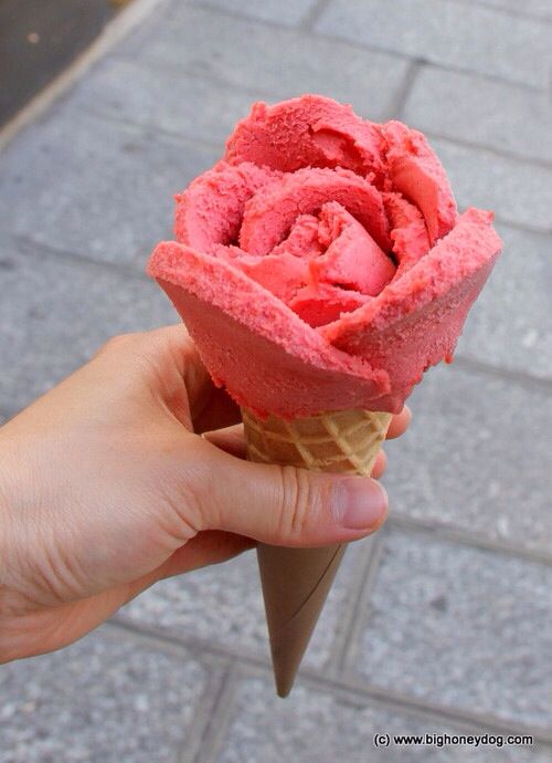 ice cream16