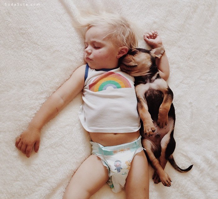 Kids and dogs24
