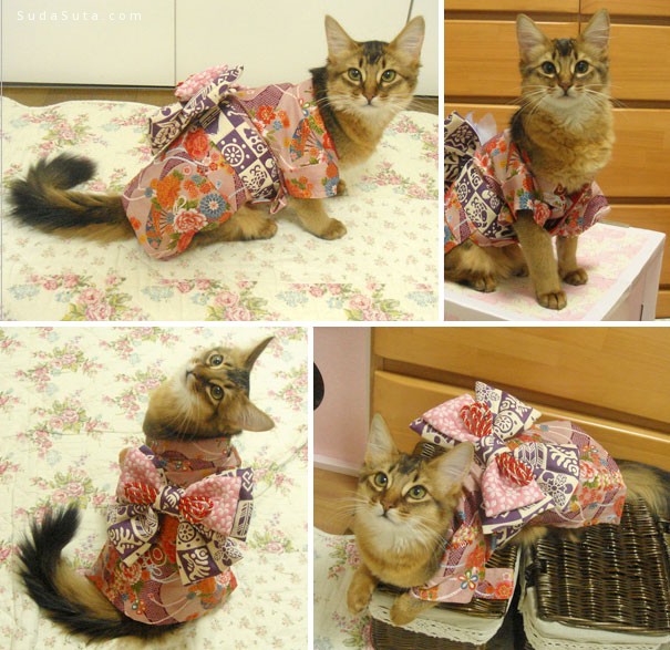 Kimonos cat07