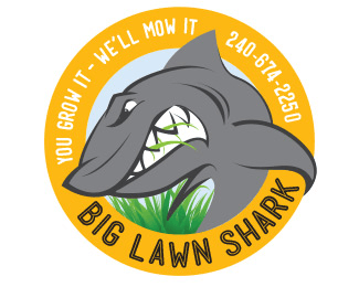 shark-logo (5)