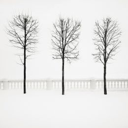 Josef Hoflehner 冬日的黑白色