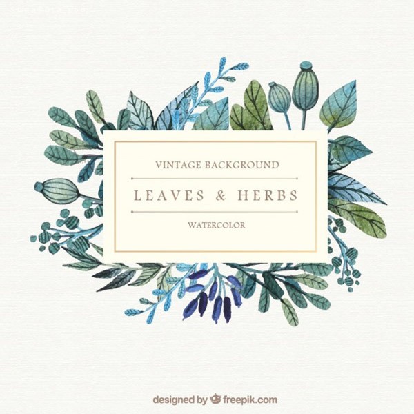 Watercolor-leaves-and-herbs-background