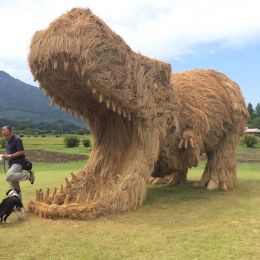 Niigata Prefecture 稻草的艺术