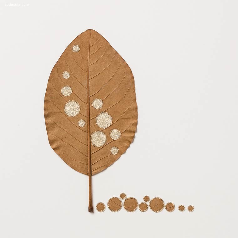 Susanna-Bauer-Leaf-Art-13
