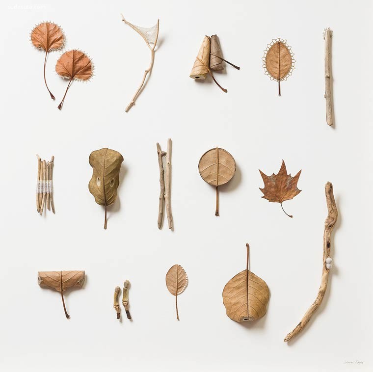 Susanna-Bauer-Leaf-Art-17