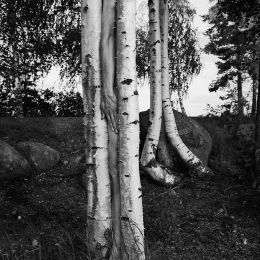 Arno Raffael Minkkinen 超现实主义黑白摄影欣赏
