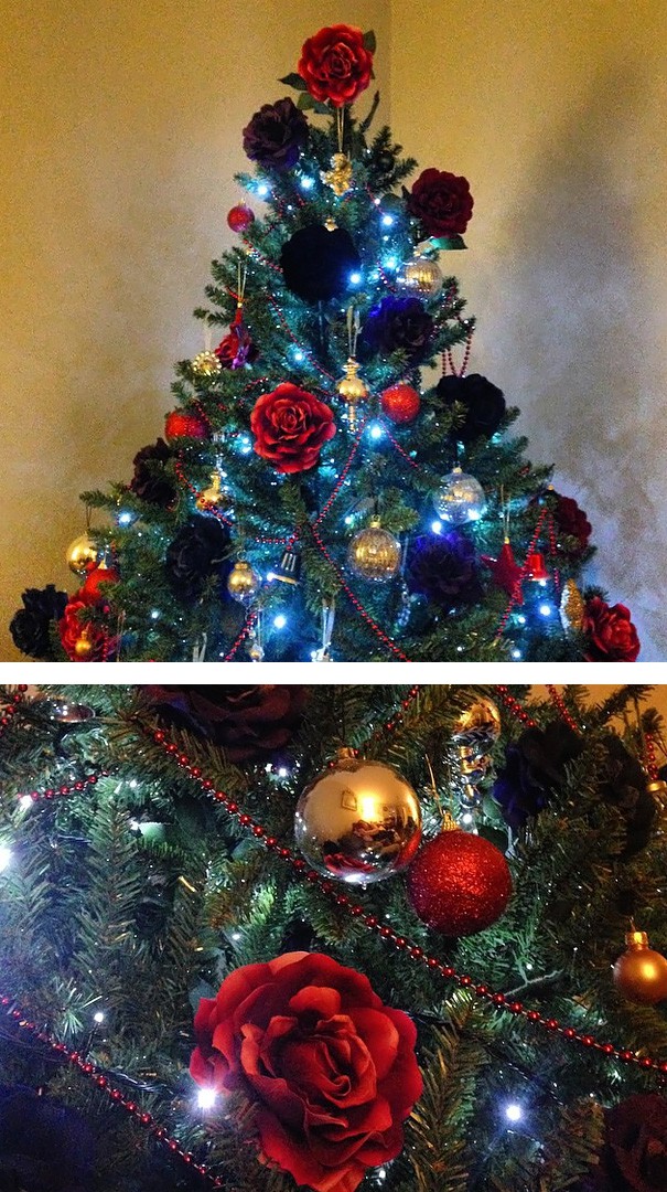 Christmas Trees (19)
