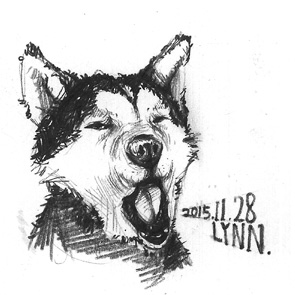 lynn (9)