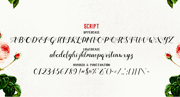 Mightype_Script_font