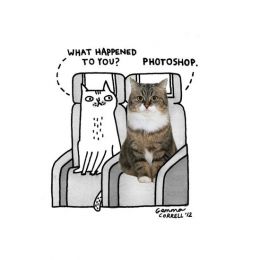Gemma Correll 猫咪与photoshop 幽默可爱的小插画