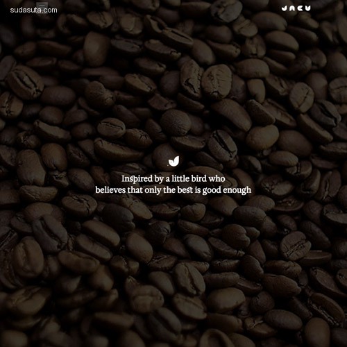 18-big-picture-coffee-website