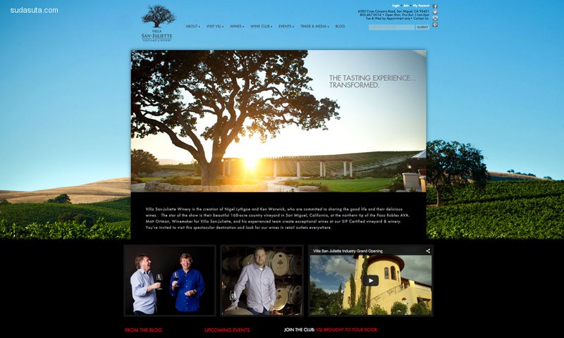 28-vineyard-winery-websites