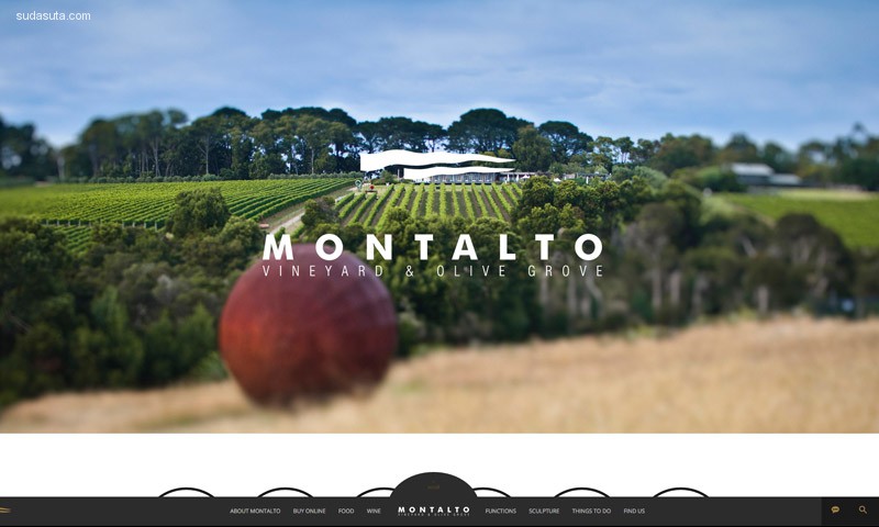 29-motalto-vineyard-websites