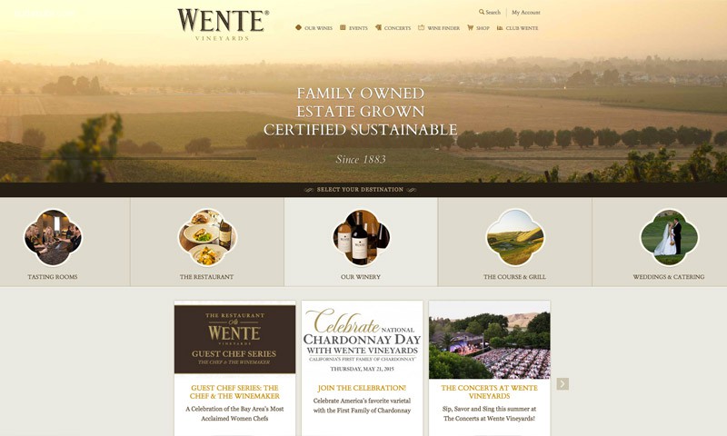 6-wente-vineyard-web-design