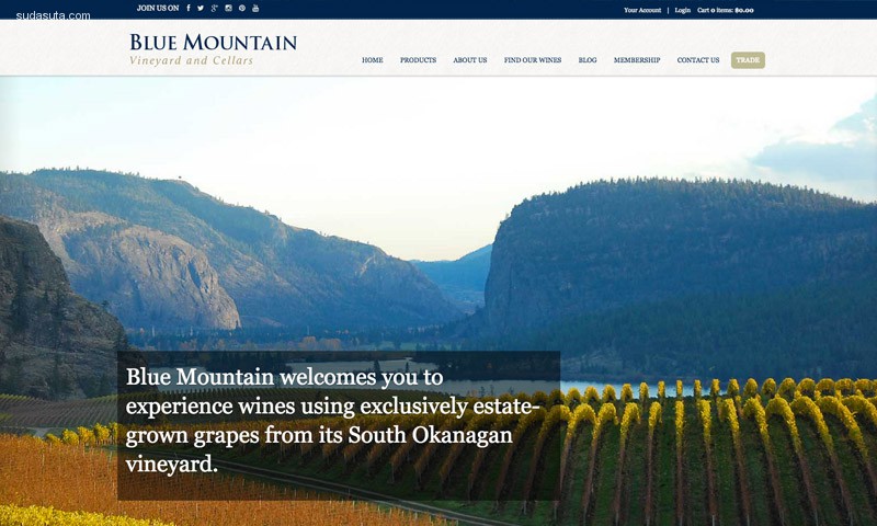 8-blue-mountain-vineyard-website