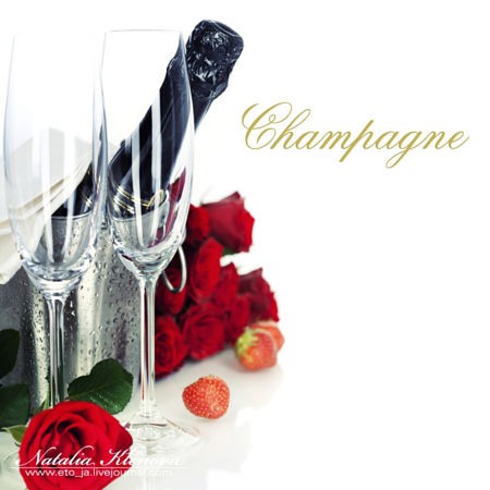 Romantic still life with champagne, strawberry and beautiful red roses over white (with easy removable text)