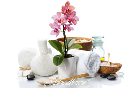 spa composition with beautiful pink orchid over white