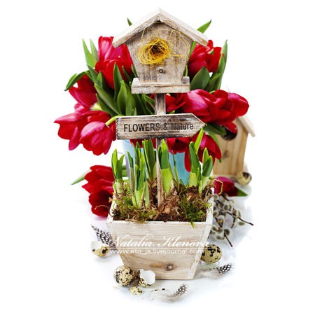 Potted daffodils, Branch of a willow and little birdhouse over white - spring and easter concept