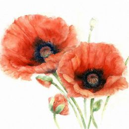 Rose Eddington 唯美的花 手绘自然插画欣赏