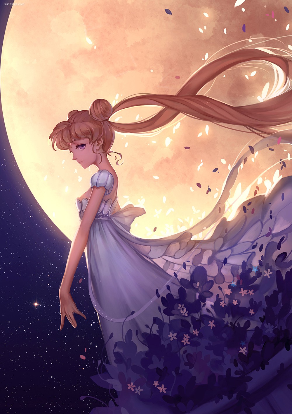 Sailor Moon (1)