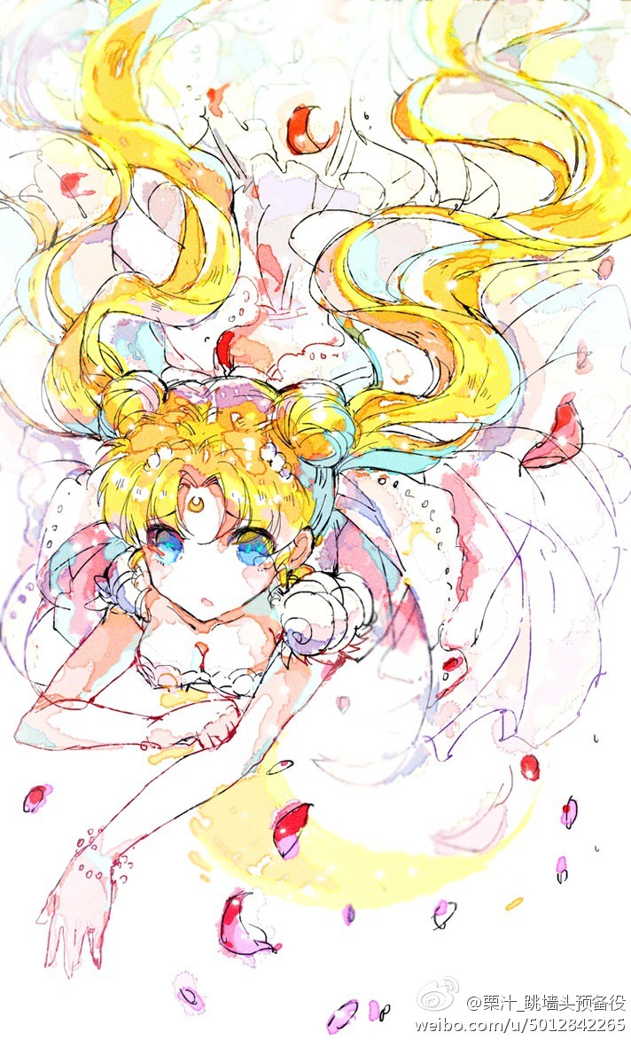 Sailor Moon (26)