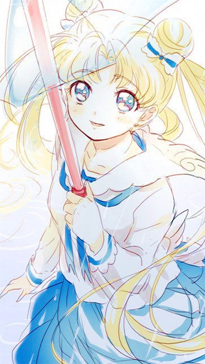 Sailor Moon (28)