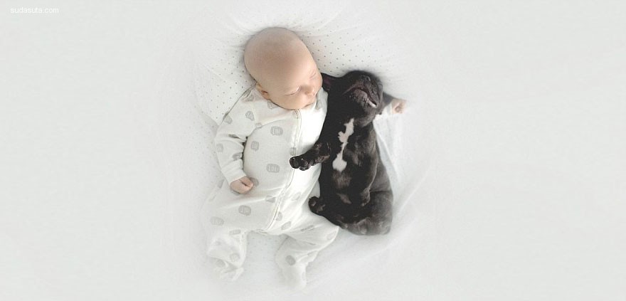 Baby and Bulldog (10)