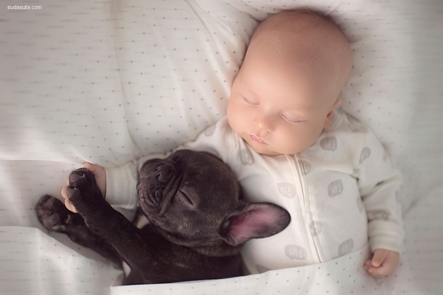 Baby and Bulldog (3)