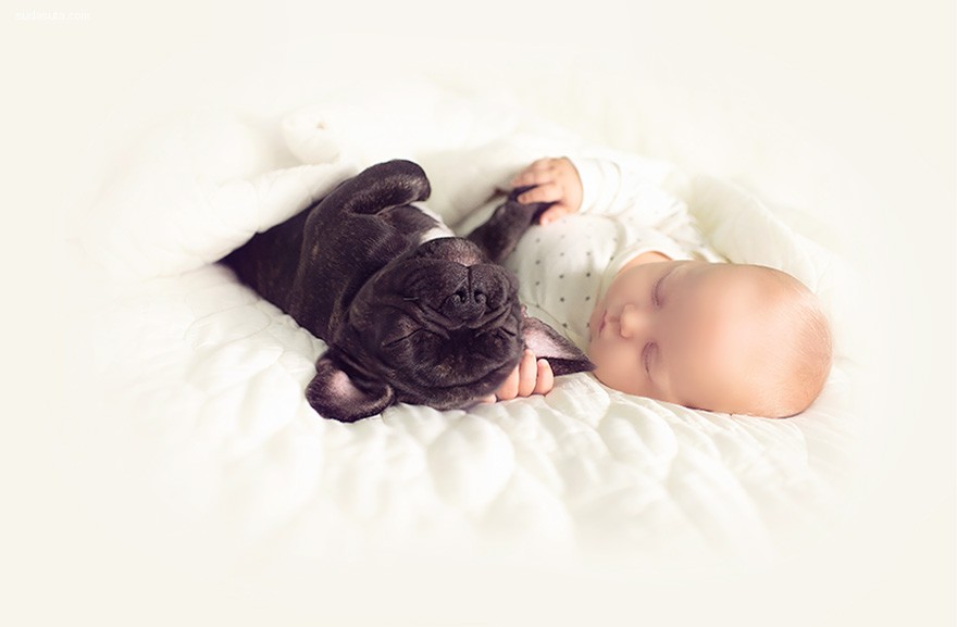 Baby and Bulldog (7)