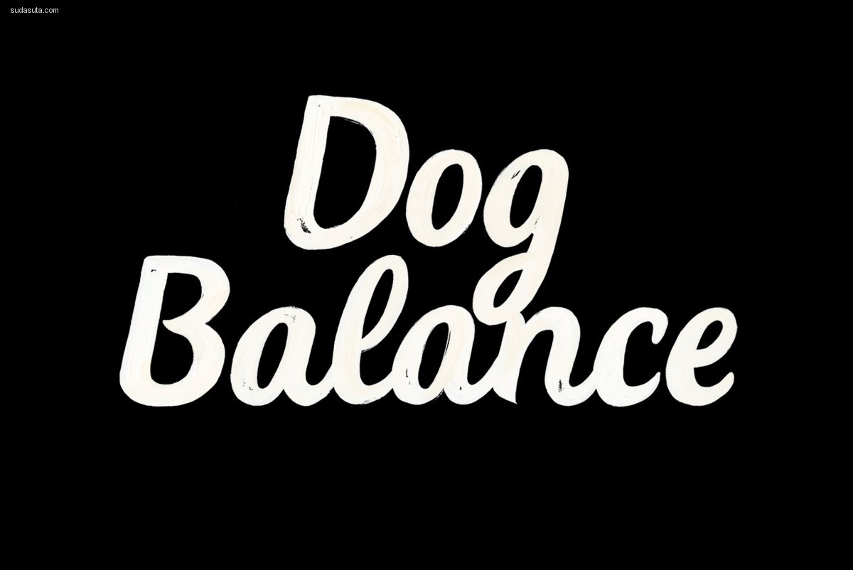 Dog Balance (5)