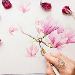 Elizaveta Gorchak 水彩的花朵插画欣赏