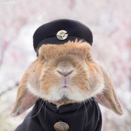 mumitan兔子的cosplay装