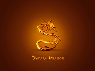 dragon-logo (13)