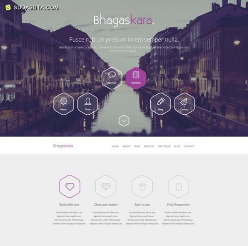 professional-onepage