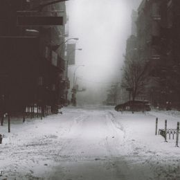 Ali Rajabi 纽约街拍《最后日》